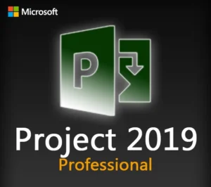 Image of a Project Professional 2019 key displaying software activation options and features.