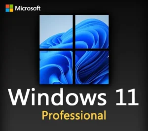 Image of a Windows 11 Professional key displaying software activation options and features.