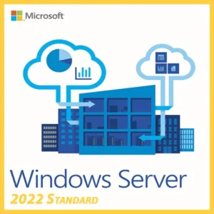 Image of a Windows Server 2022 Standard key displaying software activation options and features.