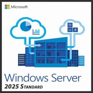 Image of a Windows Server 2025 Standard key displaying software activation options and features.